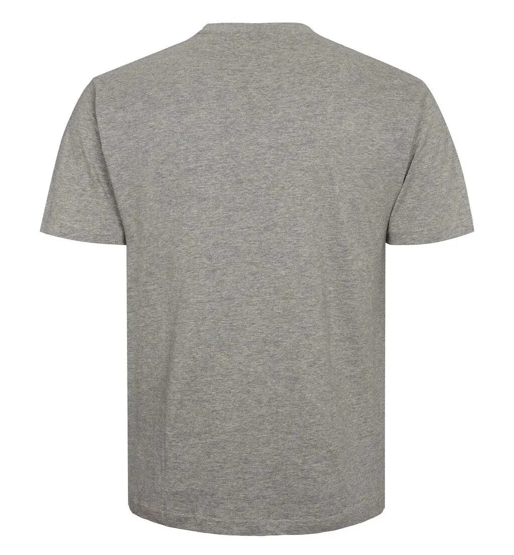 ALL SIZE TEE SHIRT Gris chiné
